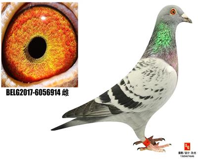 R914