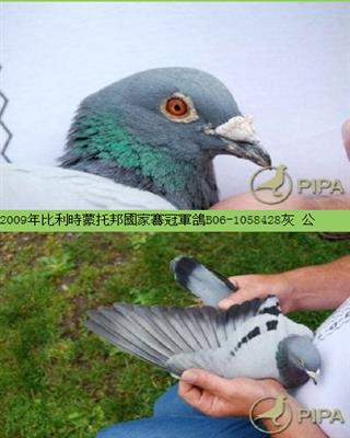 Ѫy(tng)