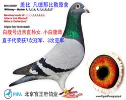 ĸH