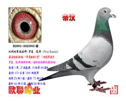 H
