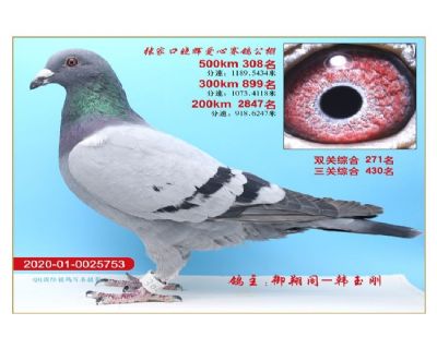 Թ308