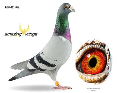 ֱKBDBȫٶȸھƽ