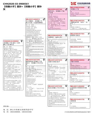 Ѫy(tng)(sh)