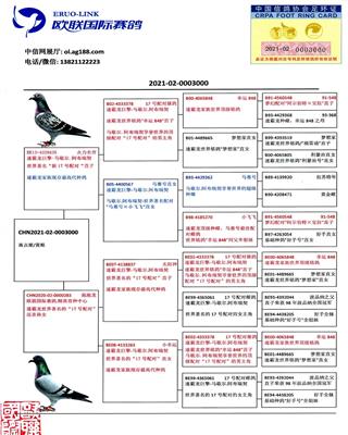 Ѫy(tng)