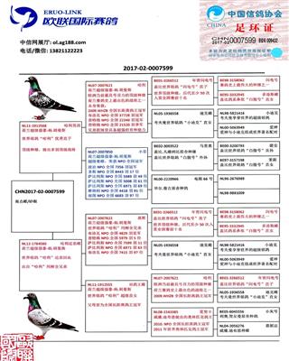 Ѫy(tng)