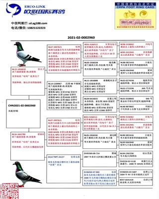 Ѫy(tng)