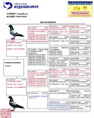 Ѫy(tng)