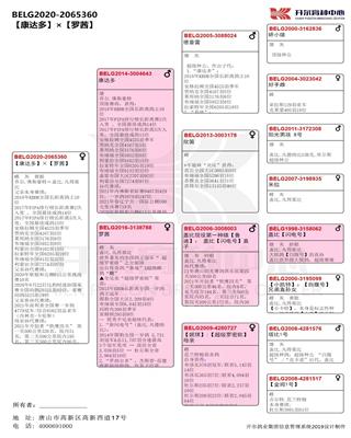 Ѫy(tng)(sh)