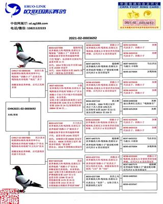 Ѫy(tng)