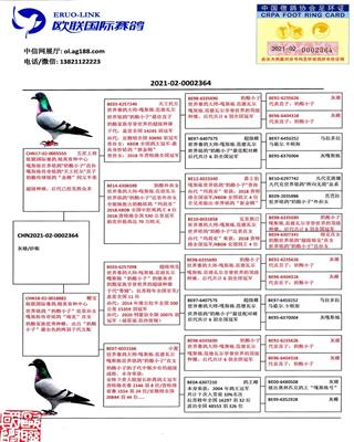 Ѫy(tng)