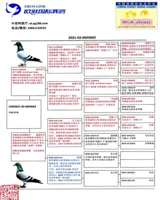 Ѫy(tng)