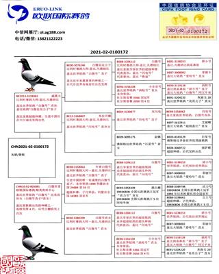 Ѫy(tng)