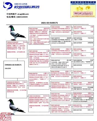 Ѫy(tng)