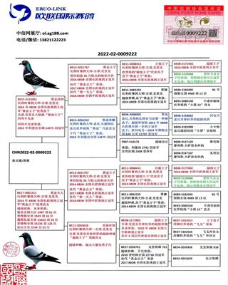 Ѫy(tng)