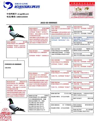 Ѫy(tng)