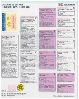Ѫy(tng)