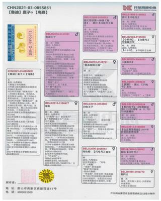 Ѫy(tng)