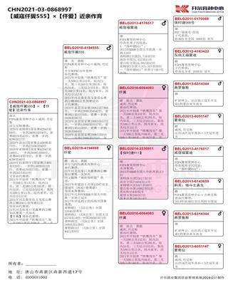 Ѫy(tng)