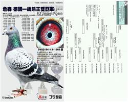 ��ĸ����