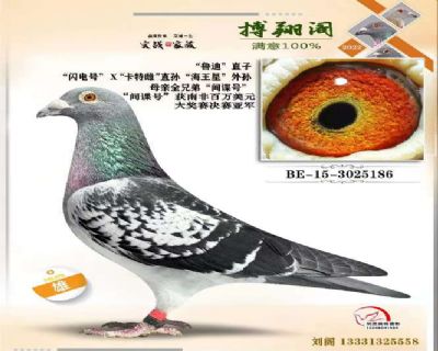 BE-15-3025186