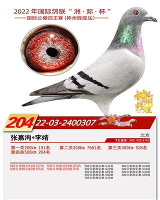 x204