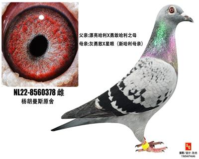 ¸378