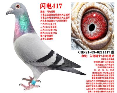 ɣʿ 417