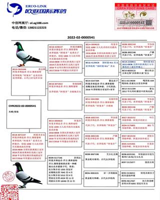 Ѫy(tng)