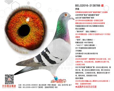 _硿wֱŮ