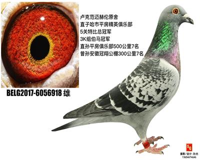 R918