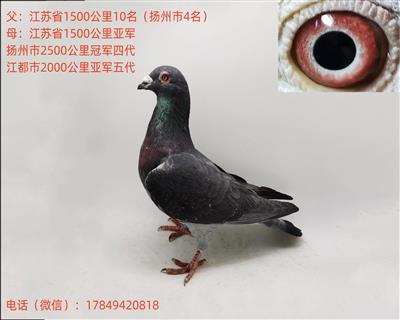 ѪԶھĴǾӴ4