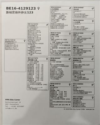 Ѫy(tng)