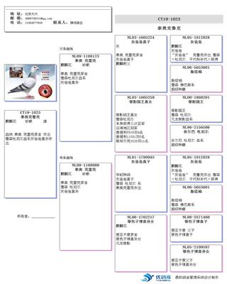Ѫy(tng)
