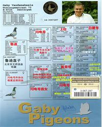 Ѫy(tng)