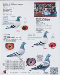 Ѫy(tng)
