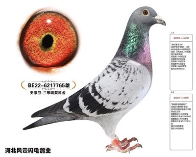 ɯ765