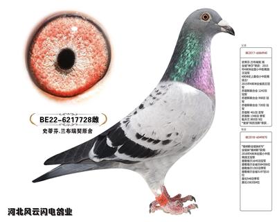 728
