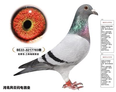 783