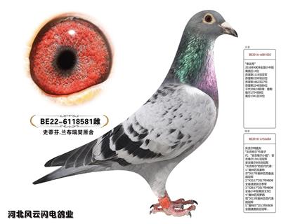 Ҹ581