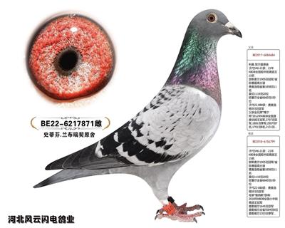 871