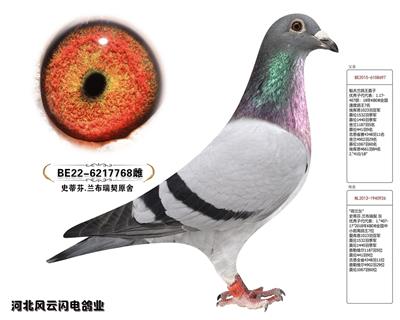 768