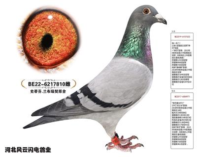 810