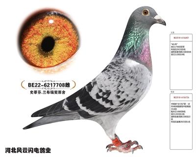708