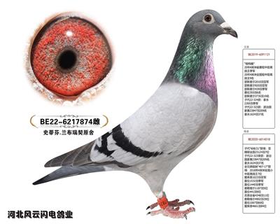 874
