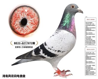 872