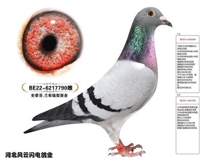 790