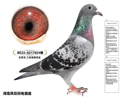 824