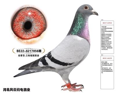 856