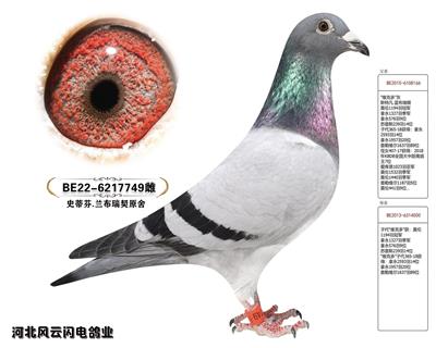 749