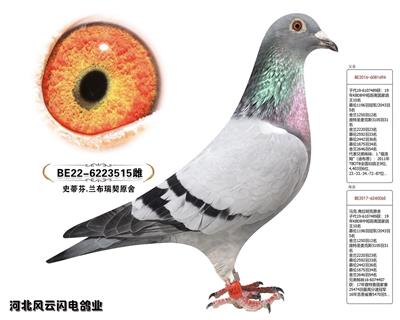 515